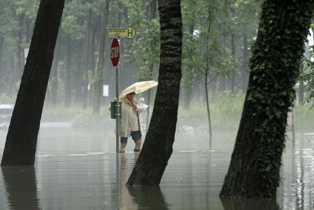 Flood hits Vienna