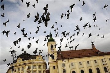 Pigeons have eye for paintings: Japan study