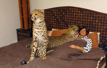 Woman shares home with 11 wild cats in S Africa