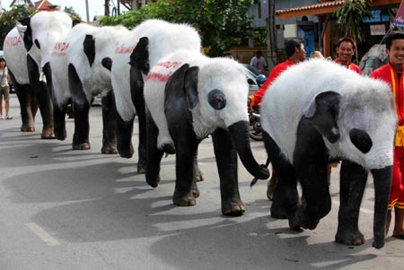 Pandas or elephants?