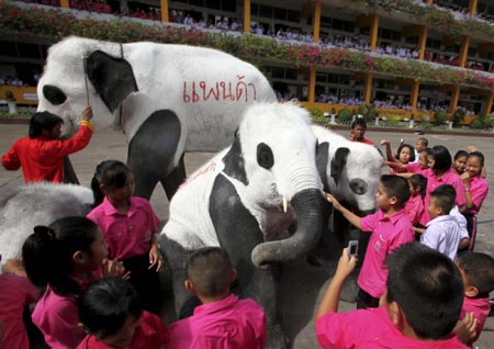 Pandas or elephants?