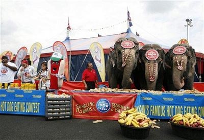 Elephants win eating contest against people