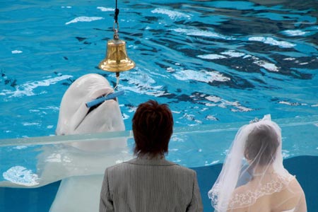Wedding at aquarium