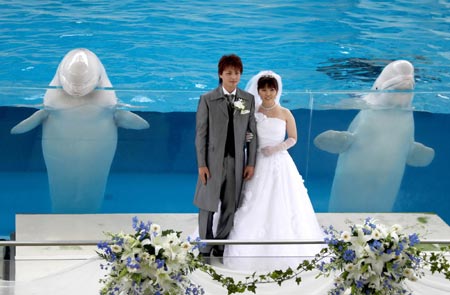 Wedding at aquarium