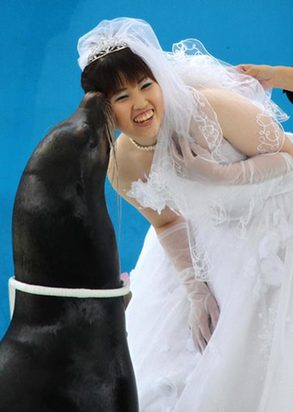 Wedding at aquarium
