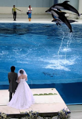 Wedding at aquarium