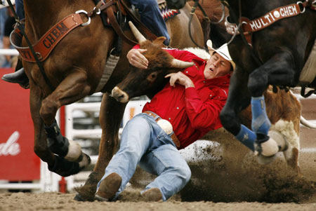 Steer wrestling event at the Calgary Stampede Rodeo