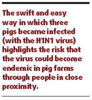 Swine flu can jump from us to them