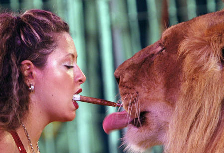 Play with lion at circus in Cairo