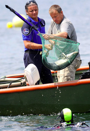 Fish bites swimmers in Switzerland