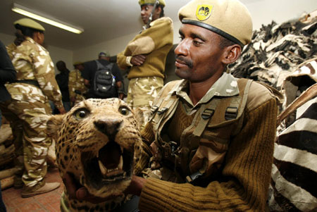 Wildlife artefacts from Kenya Wildlife Services