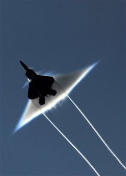 US Senate votes to stop production of F-22 jet