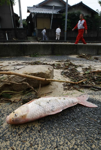 Mudslide kills five in western Japan