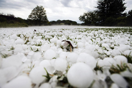 Garden covered with hailstones in Les Esserts