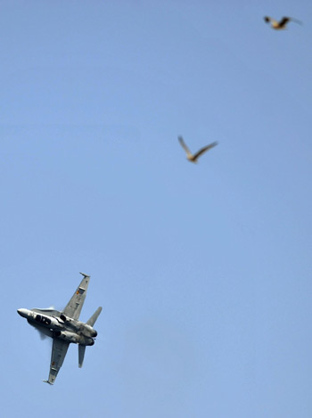 Aerial exhibition over San Lorenzo beach in Spain