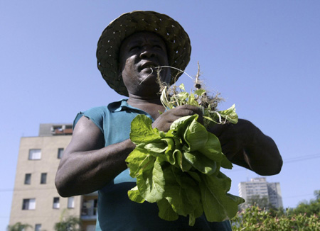 Urban agriculture in Cuba