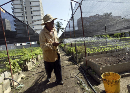 Urban agriculture in Cuba