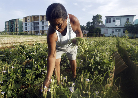 Urban agriculture in Cuba
