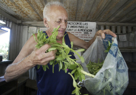 Urban agriculture in Cuba
