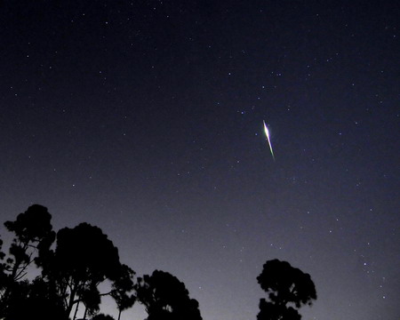 Make a wish on a shooting star