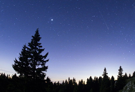 Make a wish on a shooting star
