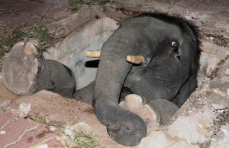 Help! I am stuck!
