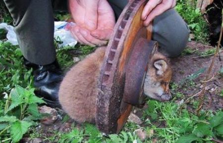 Help! I am stuck!