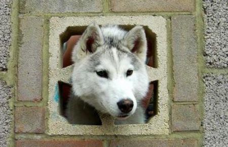 Help! I am stuck!