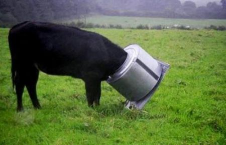 Help! I am stuck!