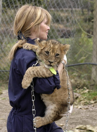 Lion cubs at Uruguayan zoo
