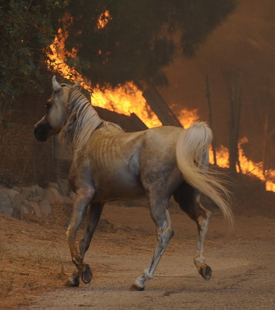 Wildfire threatens Los Angeles