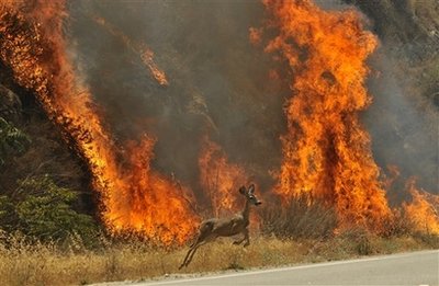 Calif. wildfire heads north, threatens thousands