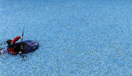 Paddle among thousands of plastic ducks on Thames