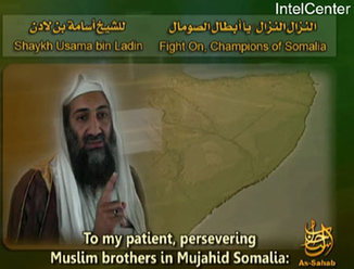 Bin Laden warns US on Israel ties: website