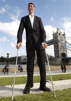 8'1