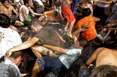 Crazy grape battle in Spain