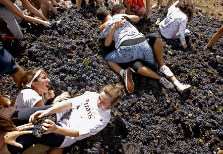 Crazy grape battle in Spain