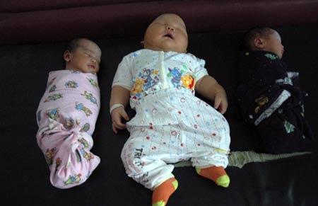 Sumatra's big baby creates buzz