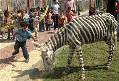 Donkeys get dye-job, take on zebra role