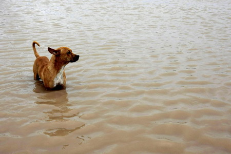 International Day for Natural Disaster Reduction