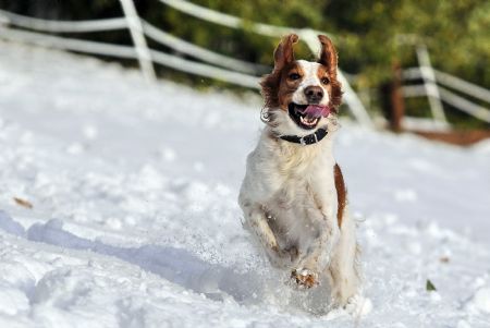 Snow blankets eastern Austria