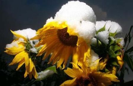 Europe's 1st snowfall of season