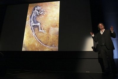 Evolution 'link' that isn't