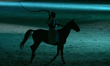 Horse's show in El Jadida