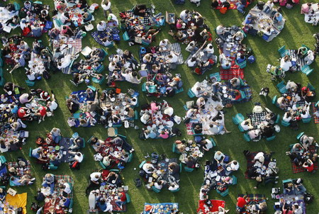 Sydney Harbor Bridge becomes grassy picnic ground