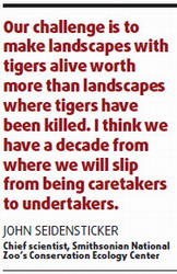 Two decades before tigers stop roaring