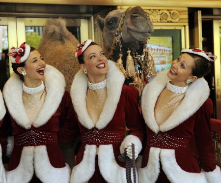 Beauties & beasts ready for Christmas spectacular