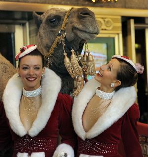 Beauties & beasts ready for Christmas spectacular