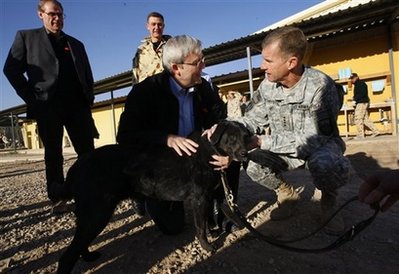 MIA dog found in Afghanistan after 14 months