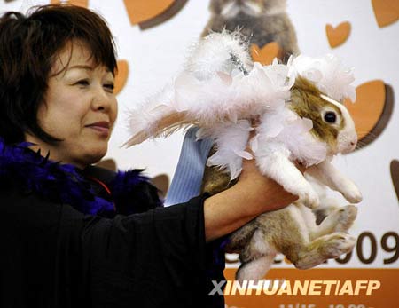 It's bunny time!
